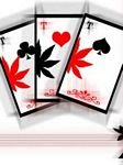 pic for weed cards